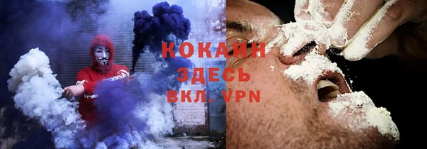 твердый Сясьстрой