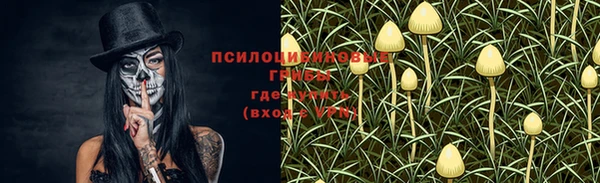 молекула духа Балахна