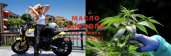 молекула духа Балахна