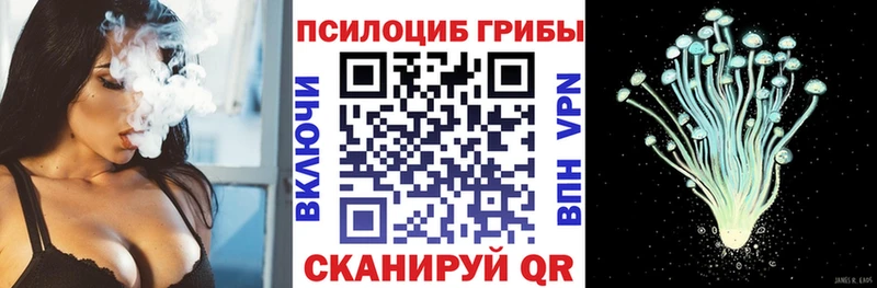 гидра ссылка  Волосово  Псилоцибиновые грибы Magic Shrooms 