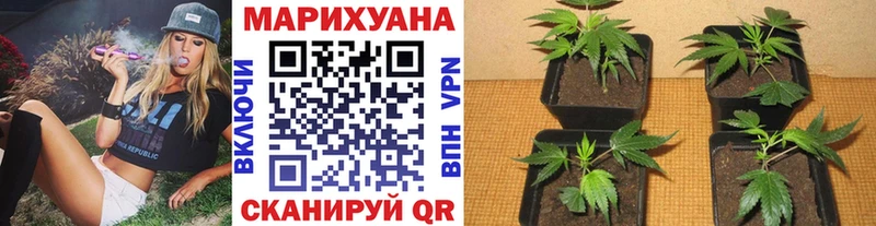 Канабис Ganja  Волосово 